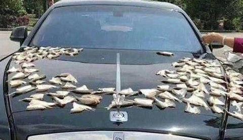 想知道“劳斯莱斯“近期资讯盘点，你想要的这里都有