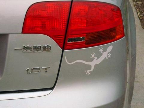 车尾贴壁虎有2层含义？别被4S店忽悠了，真相太不可思议了！