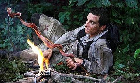 贝爷的荒岛求生图片