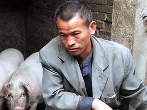 一个跟养猪业有关的真事儿，养猪人看了估计会惊讶！