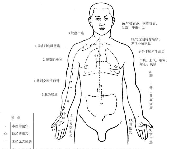 穴位养生堂中医介绍手太阴肺经