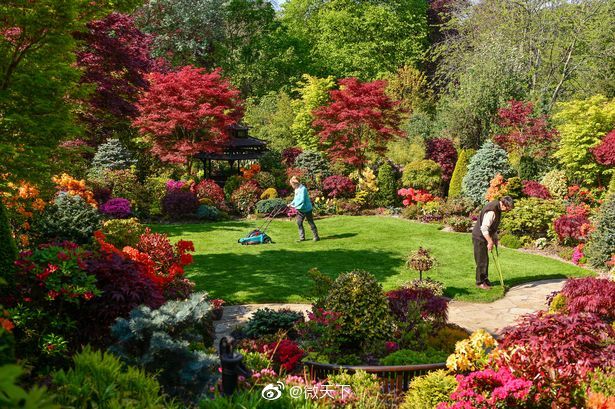 上帝的后花园是哪个国家 探索全球最美花园国度