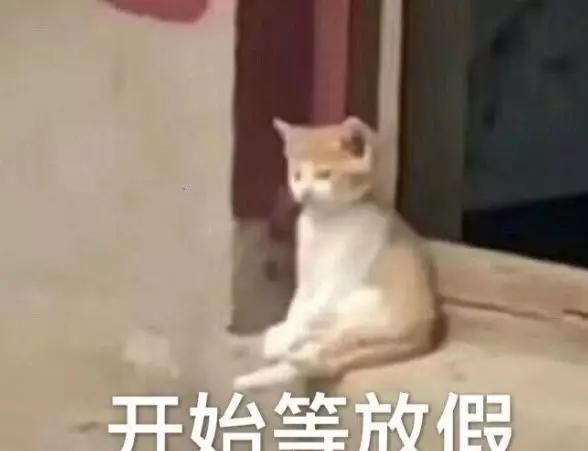 春节自驾返乡的一定要看!这份《行车指南》关键时刻能救命!