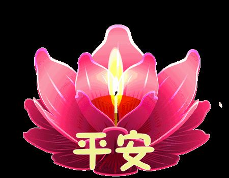 朋友圈最美早上好问候祝福语动态图片早安正能量阳光问候