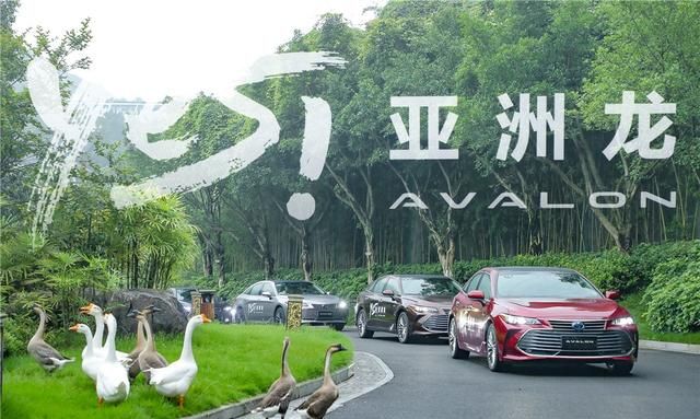 当凯美瑞车主试驾亚洲龙之后……