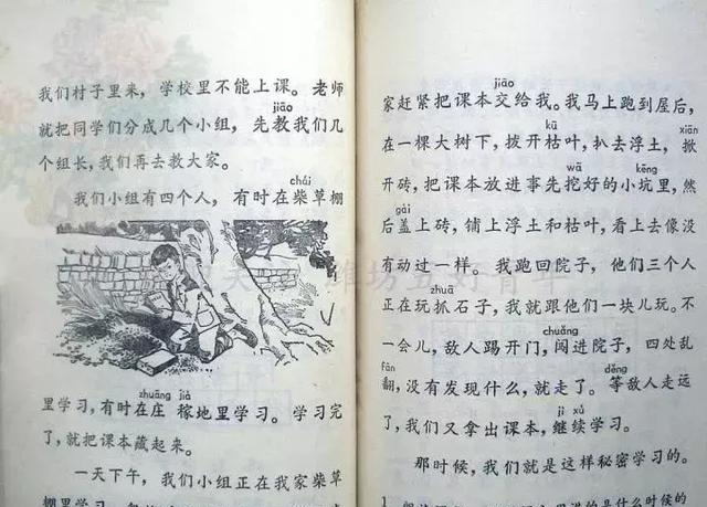 曾记否70后80后我们小时候读过的语文课本(3)