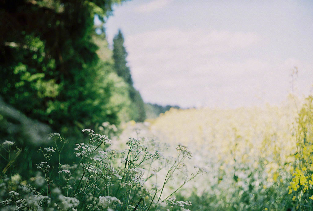  一日之计在于晨,一年之计在于春 … 