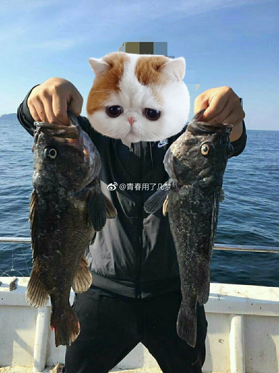 长海县钓鱼季,钓鱼要到岛上钓