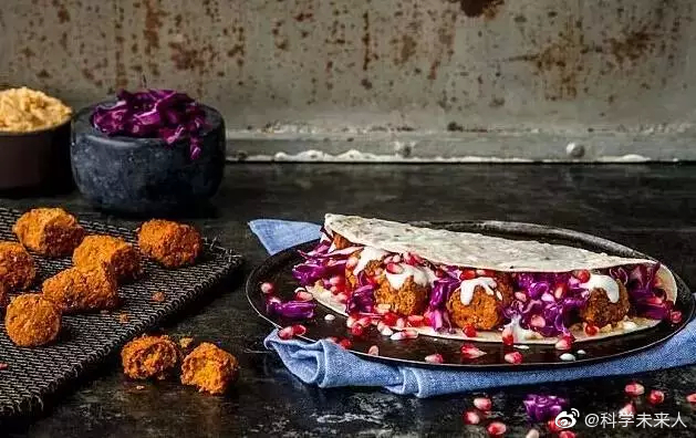 昆虫蛋白生产：一个值得跟踪的未来产业