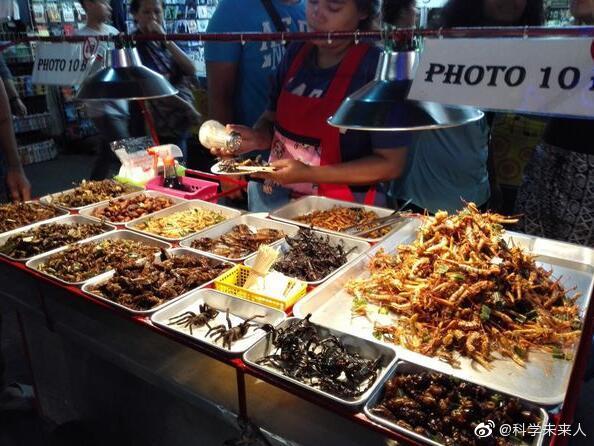 昆虫蛋白生产：一个值得跟踪的未来产业