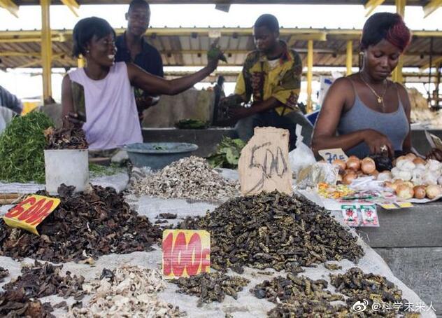 昆虫蛋白生产：一个值得跟踪的未来产业