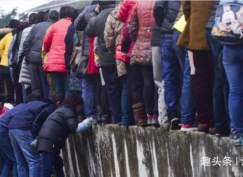 “劳斯莱斯“最全资讯一网打尽，有我就够了