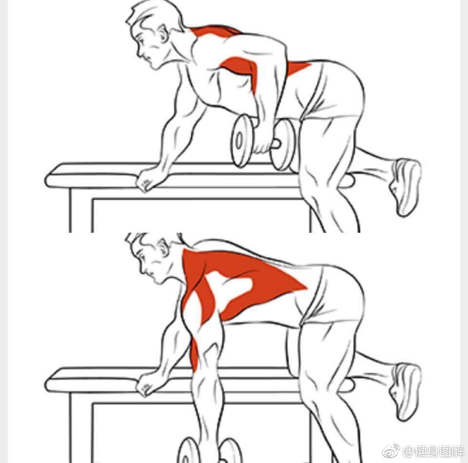 经典的背部训练动作,虐出倒三角! .