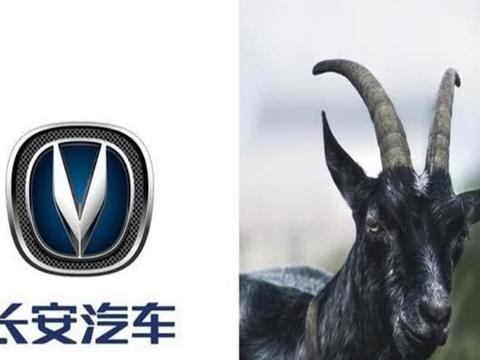 “5-10万中型轿车“有新的文章更新，请注意查收