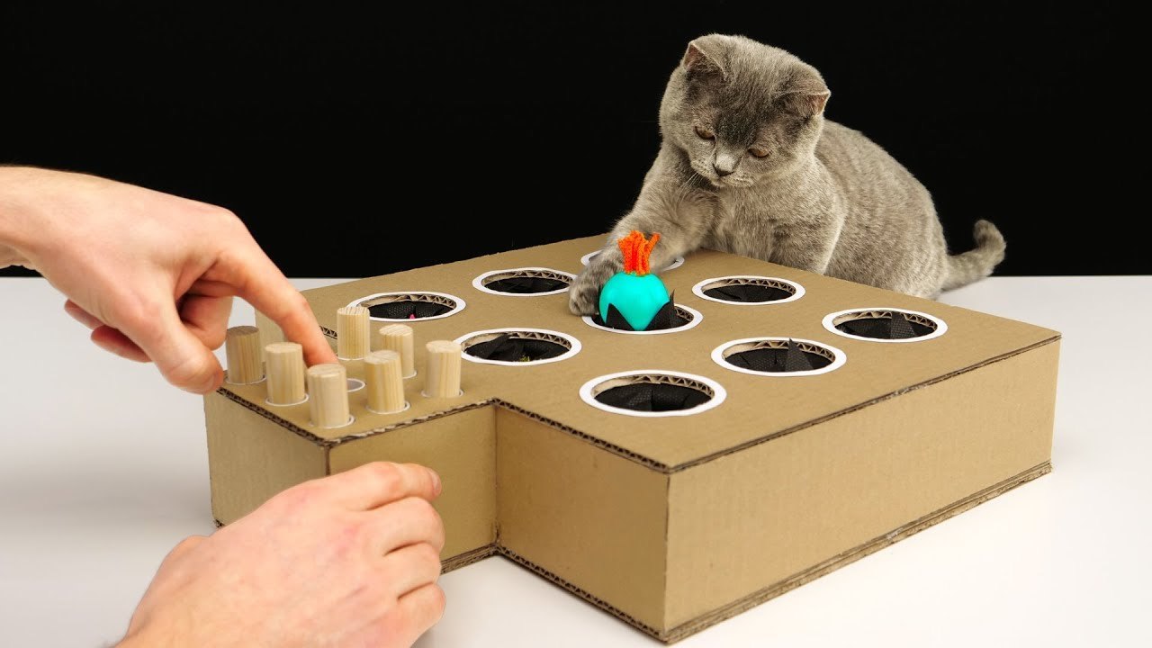 创意发明,大神给猫咪做了一个手动打地鼠机,猫咪玩得不亦乐乎