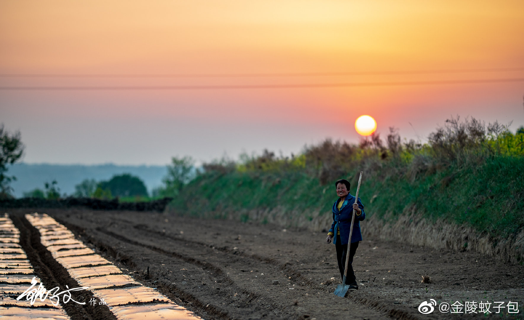 庆阳市,甘肃省辖市地级市,位于甘肃省最东部