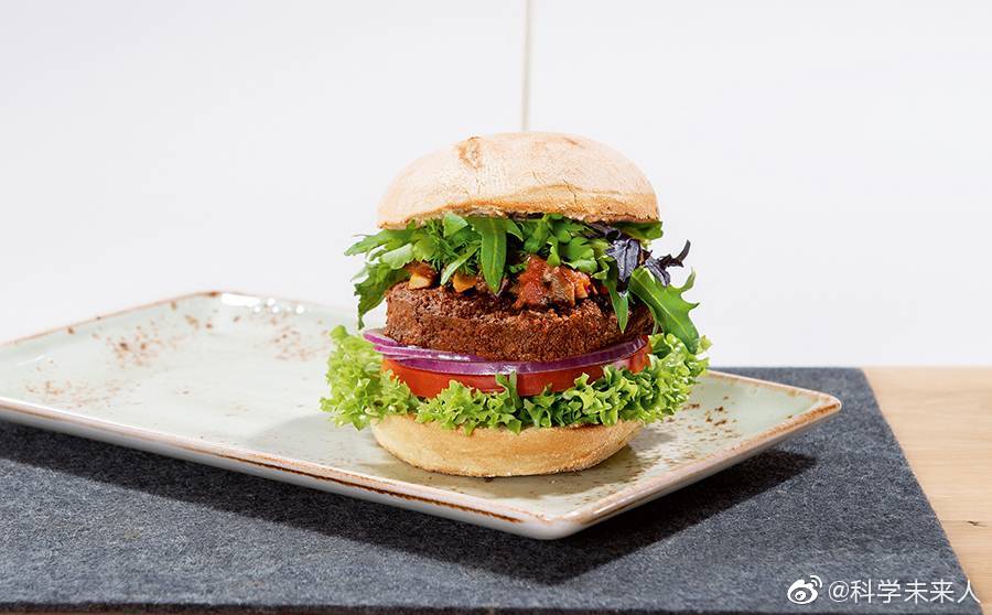 昆虫蛋白生产：一个值得跟踪的未来产业