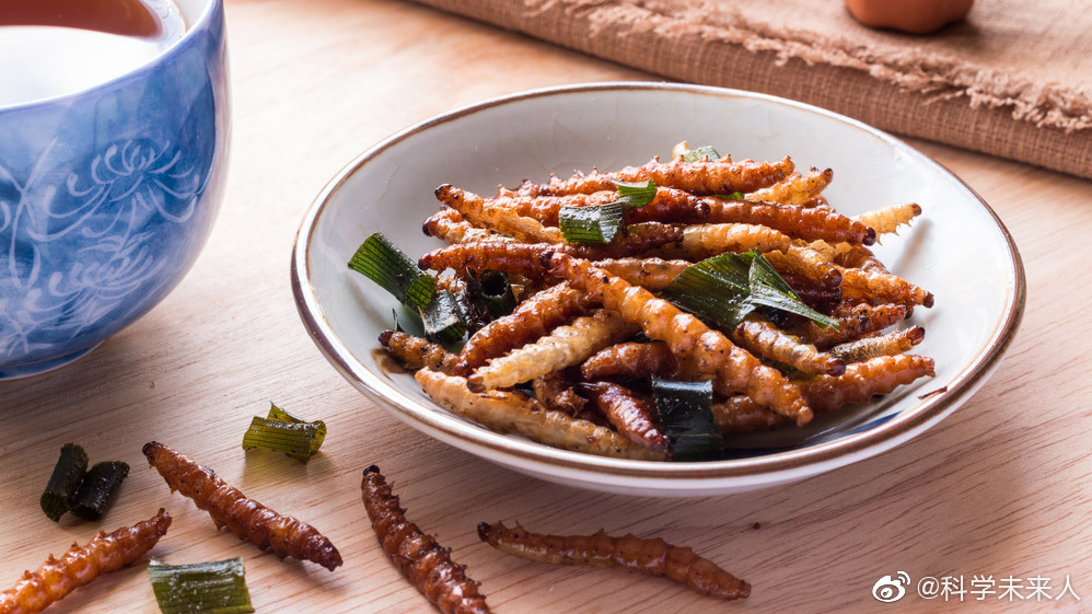 昆虫蛋白生产：一个值得跟踪的未来产业