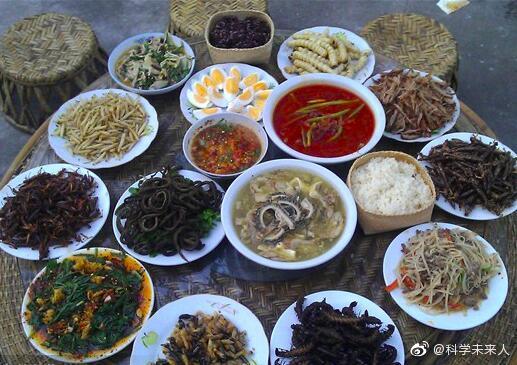 昆虫蛋白生产：一个值得跟踪的未来产业