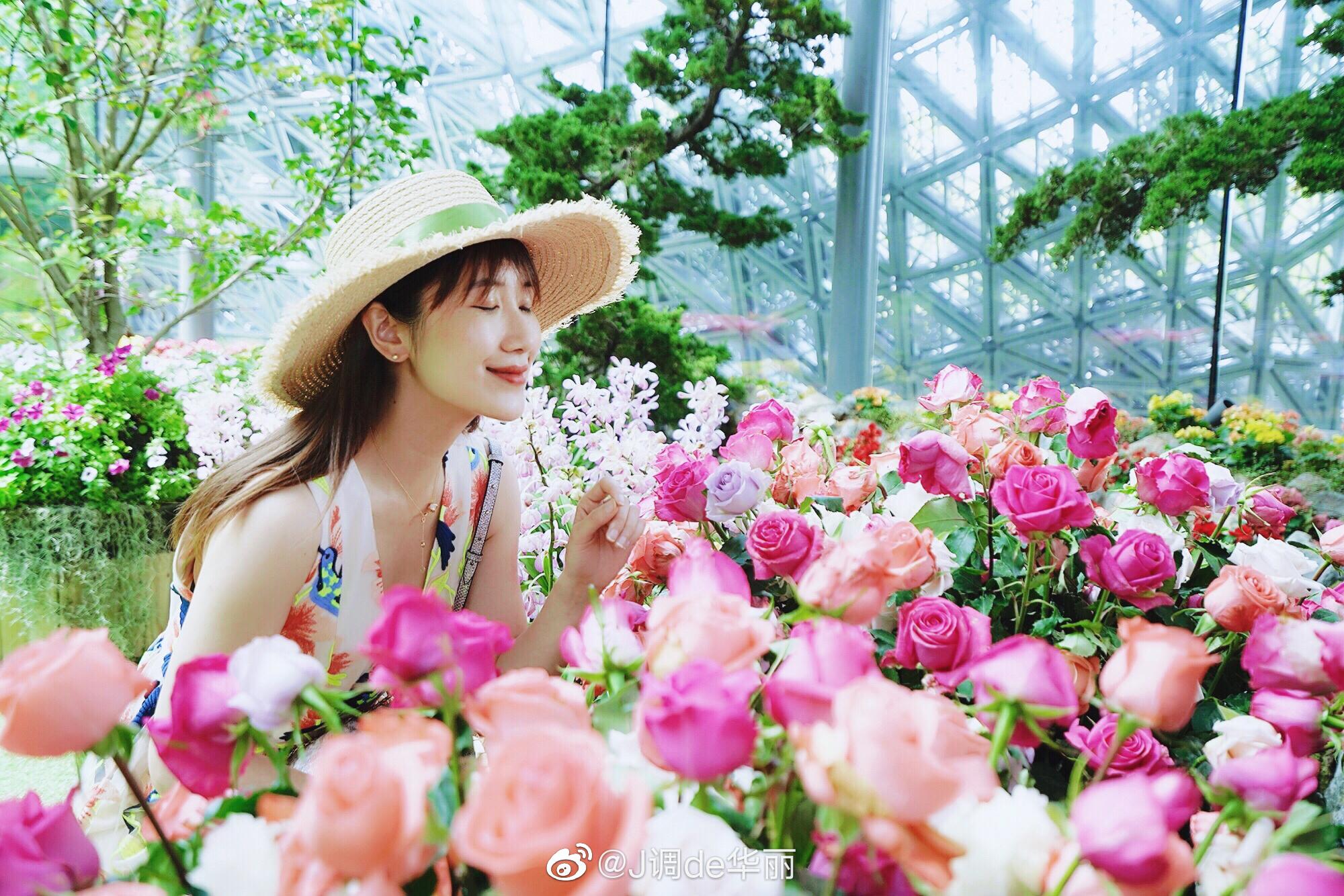 新加坡滨海湾花园|滨海湾|花园|新加坡_新浪新闻
