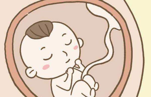 酸儿辣女?你所听说的这些生男生女的判断,大多是不靠谱的