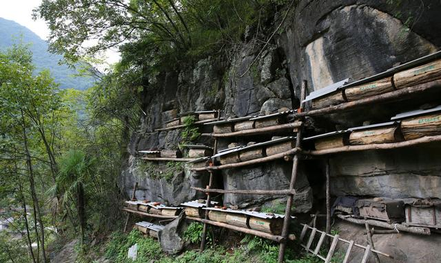 蜜蜂养殖,如何给蜂群更换蜂箱?土法饲养与活框饲养分别怎么做?