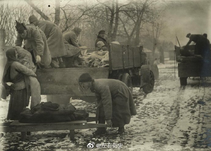 印度沙漠蝗灾惊人内幕 蝗虫如何被快速消灭