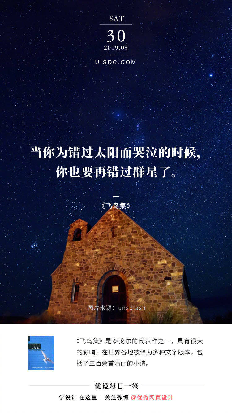 小猫钓鱼会所怎么玩｜实测攻略与实用技巧完全指南