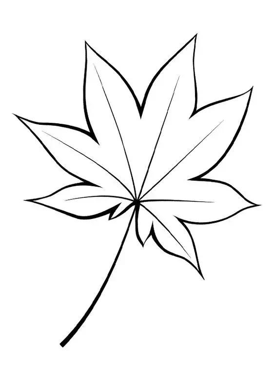 红枫叶简笔画手绘_手绘