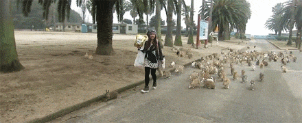 搞笑gif:大爷说:我们再搞两局就走!我不知该怎么接