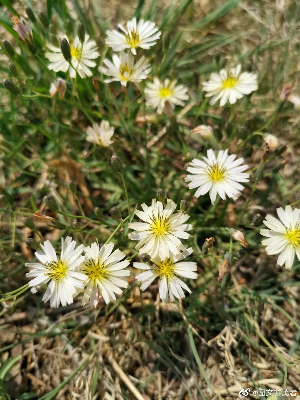 万物得其本者生,百事得其道者成。周末早安。