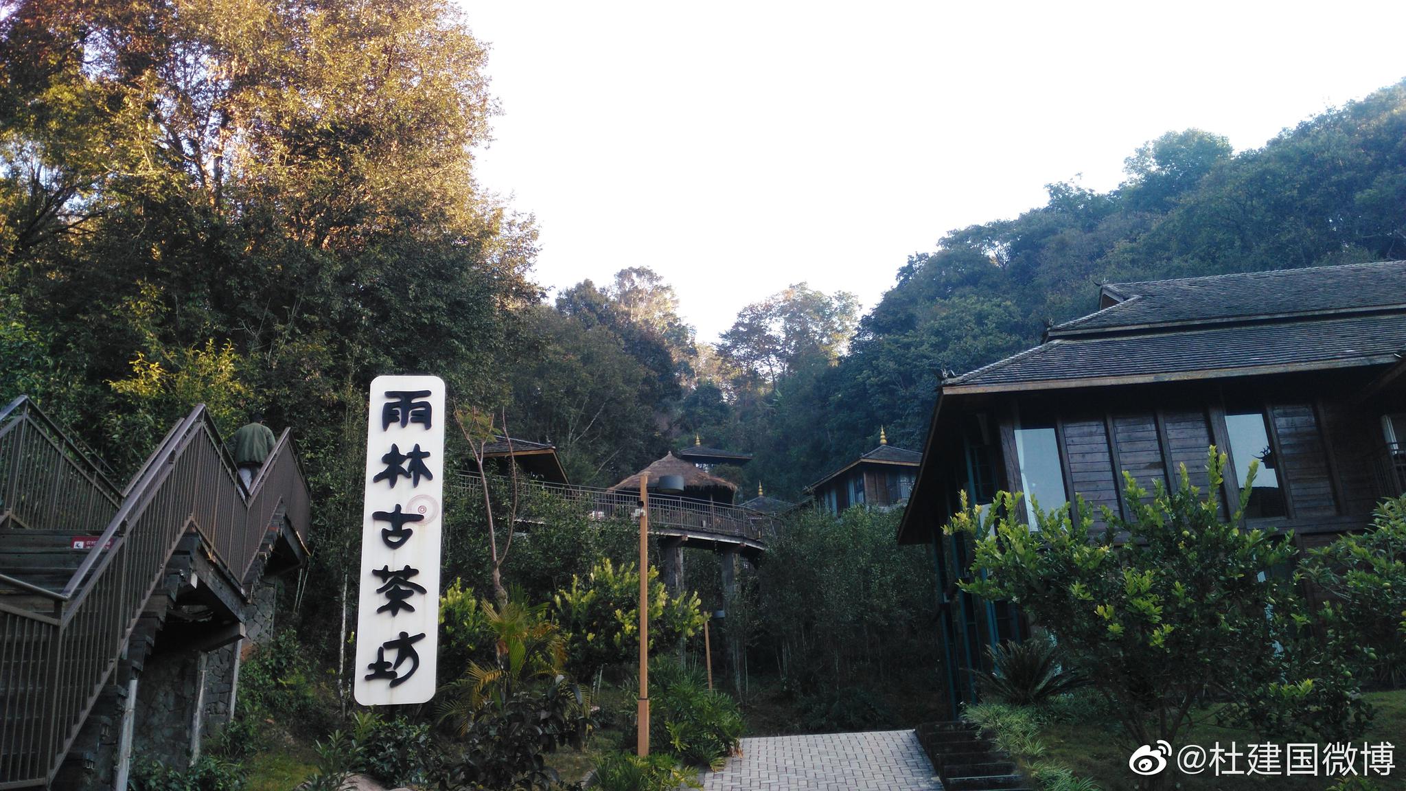 早晨的雨林古树茶山庄,还有鲜花盛开.虽说是西双版纳热带雨林