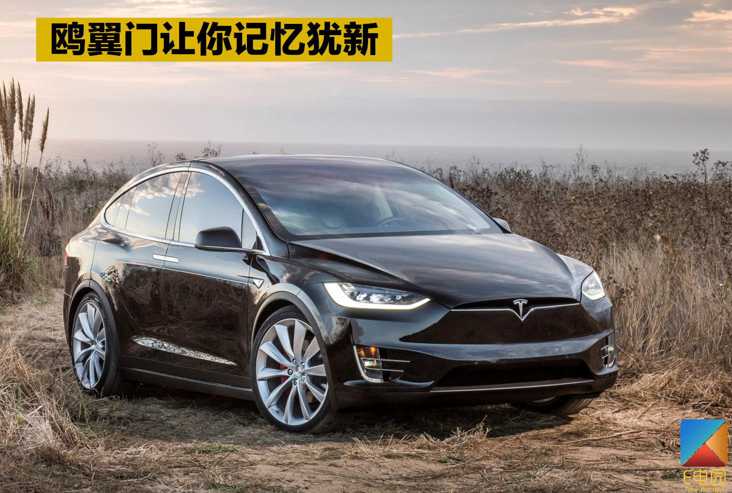 大家凭啥喜欢它?细数全球搜索频次最高的10款电动车