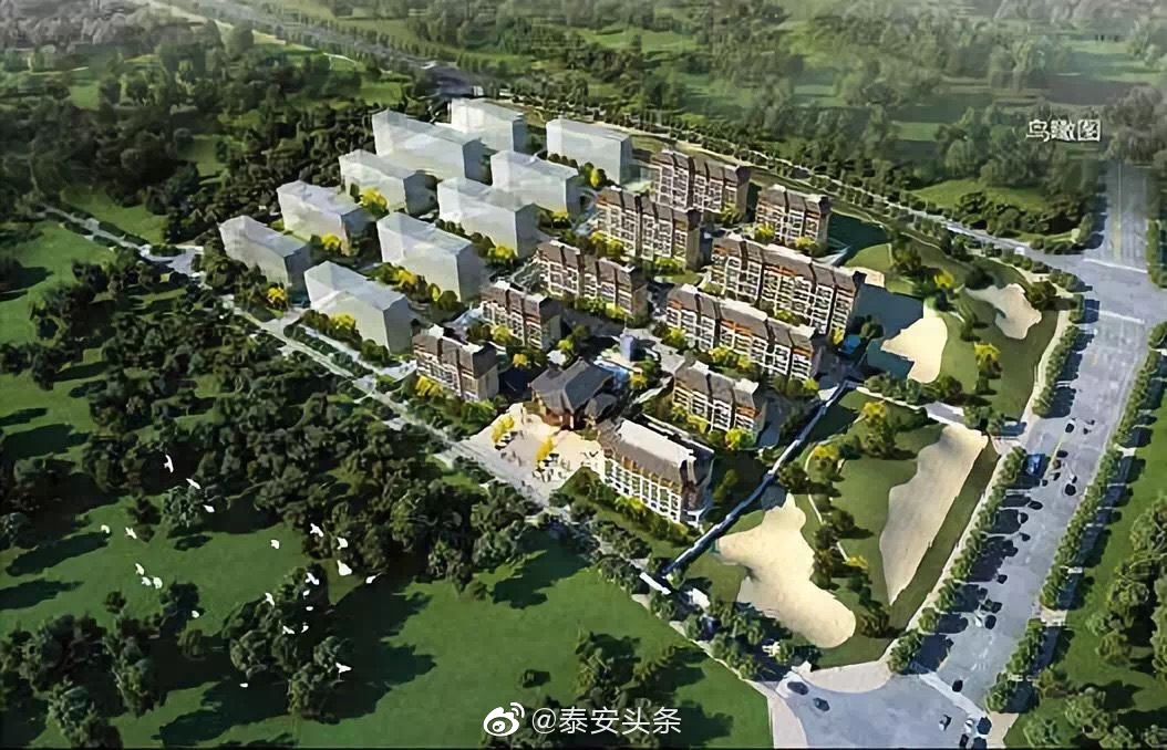 请各位大神帮我看一下这个宅基地有多少个平方?