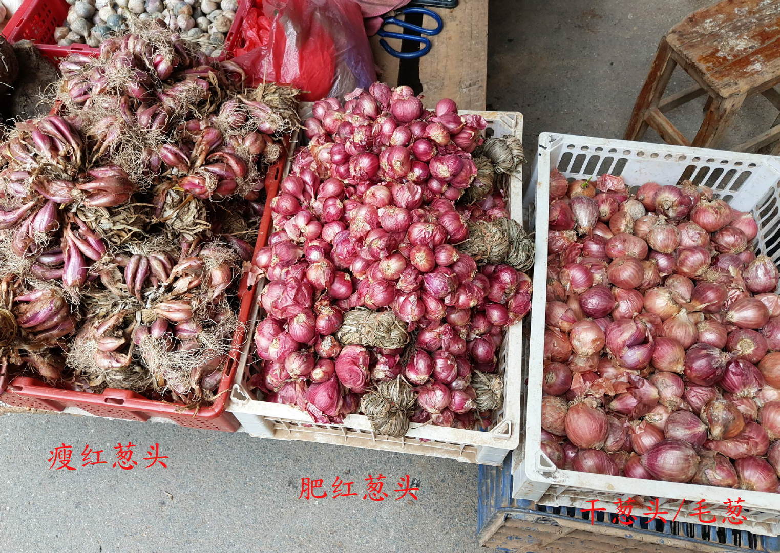 市场博物：红葱头和干葱头（毛葱），两个妙物的区别及代用
