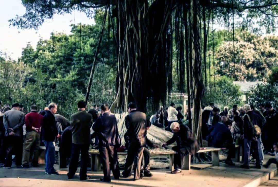 早晨热饭团,深夜关东煮,便利店对你来说,只有这些吗? 早晨热饭团,深夜关东煮,便利店对你来说,只有这些吗?