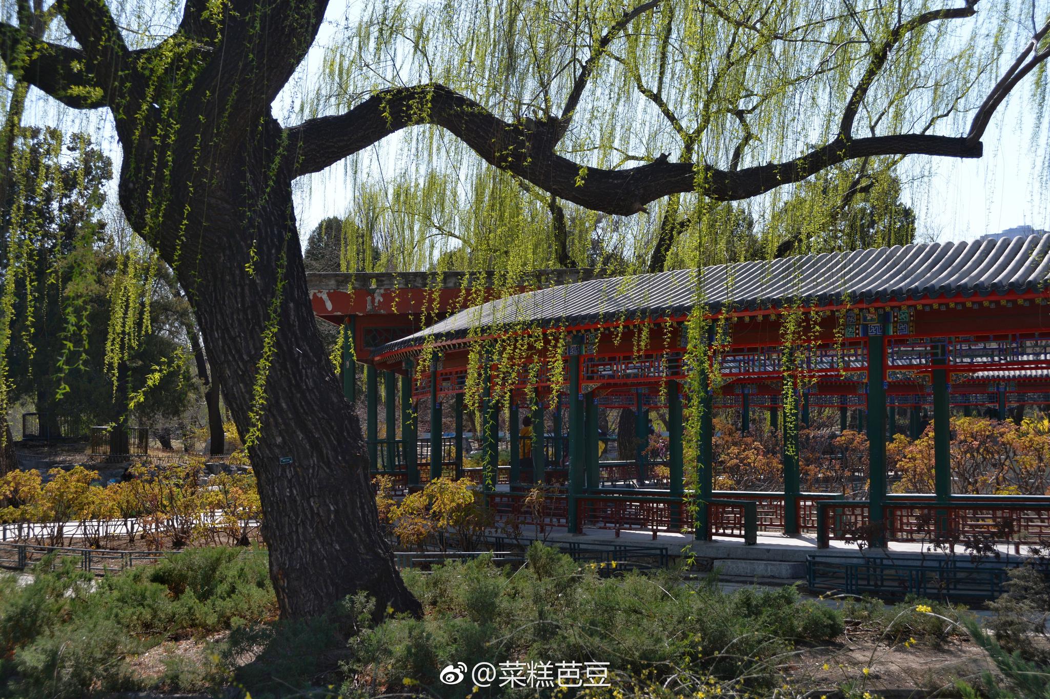 北京野生动物园随拍|摄影|宠物摄影|mk1045396124 - 原创作品 - 站酷 (ZCOOL)