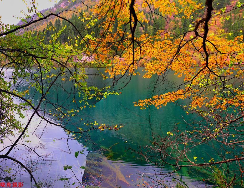 网络符号用法大全 文言文特殊句式解析