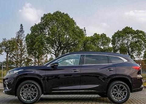 奇瑞推出全新SUV星途系列，国六引擎“领先”宝马，新车标够大气