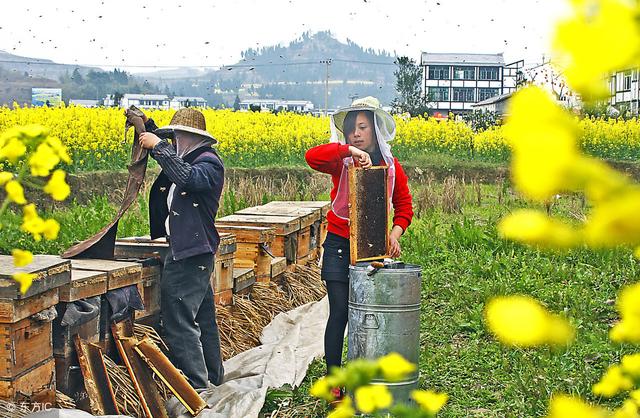 莒南县城人口_莒南县城地图最新版(3)