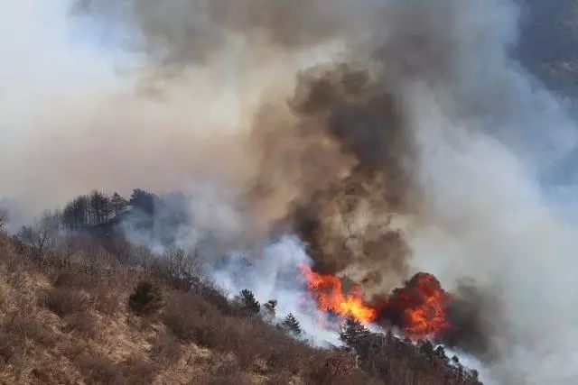 森林 火災 原因