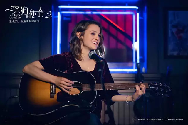 明明一直在笑,却又泪点无数。《一条狗的使命2》【观影报告】 明明一直在笑,却又泪点无数。《一条狗的使命2》【观影报告】