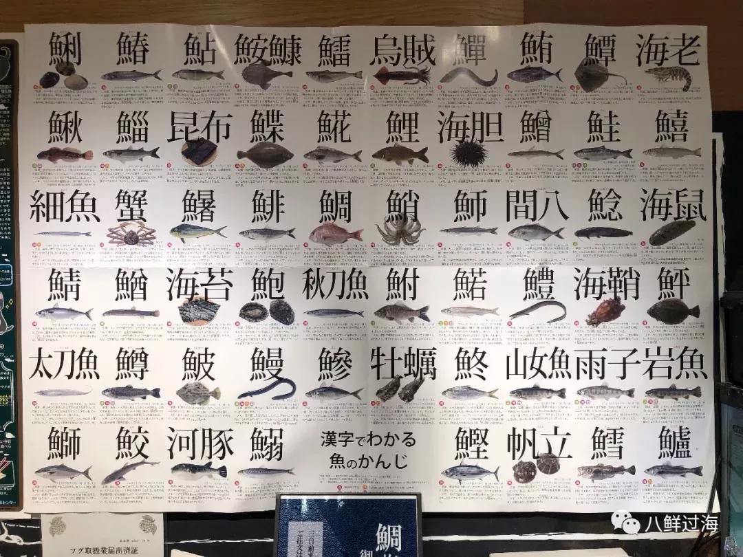 鲐鱼 鲅鱼 挪威青花鱼 如何分辨哪些是网红鲭鱼