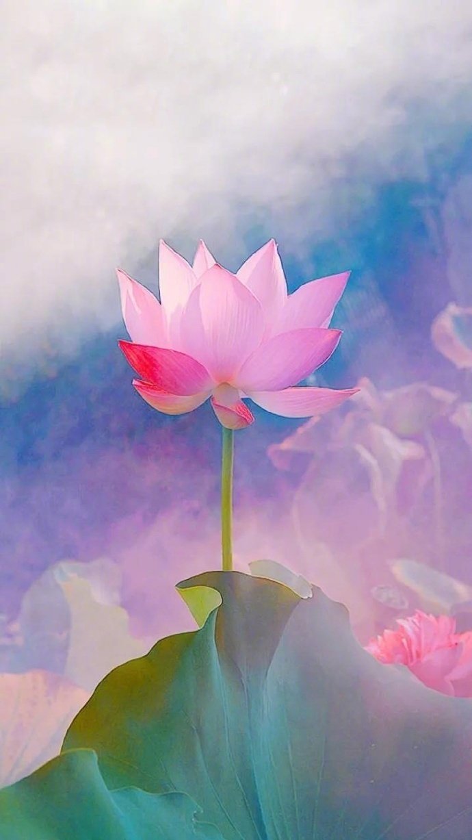 纵然繁华三千,看淡即是云烟,任凭烦恼无数,想开