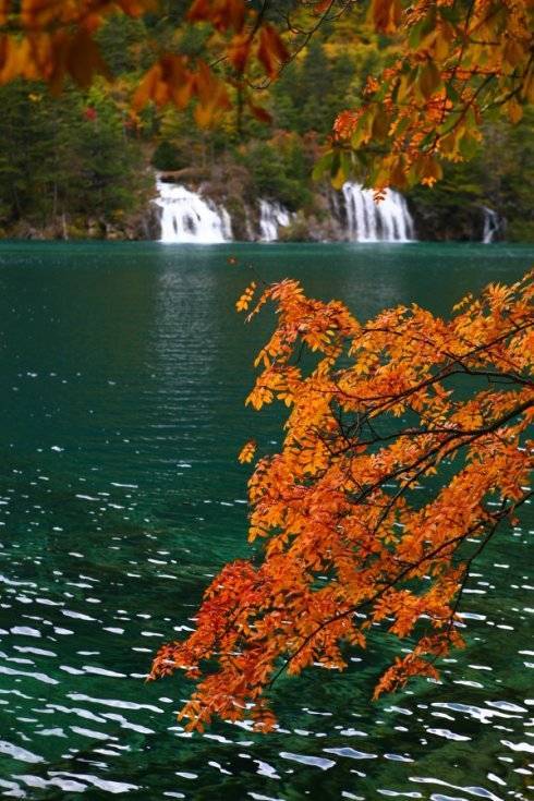 网络常见符号含义 标点省略号用法解析