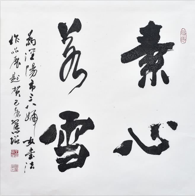 沈阳市女书协书法作品展开幕