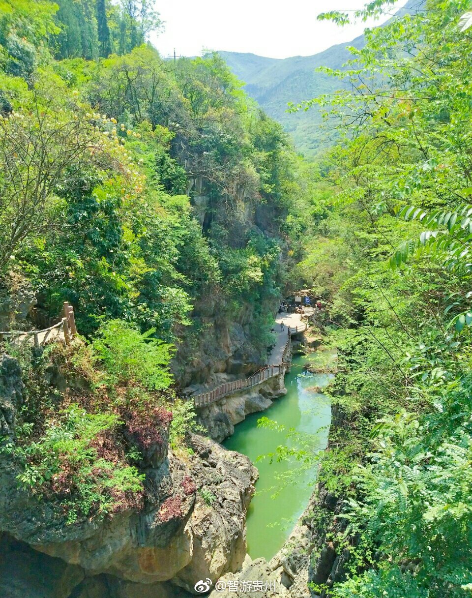 地方新闻：沙坪坝天星桥斗殴背后，为何街头冲突频频发生