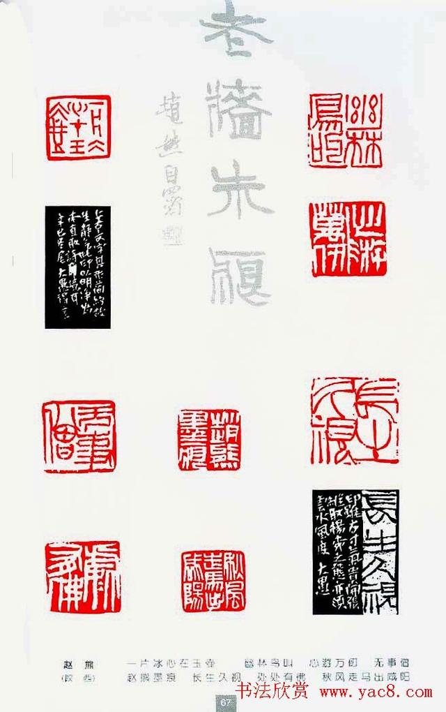 重磅中国当代篆刻家100人作品精选集2
