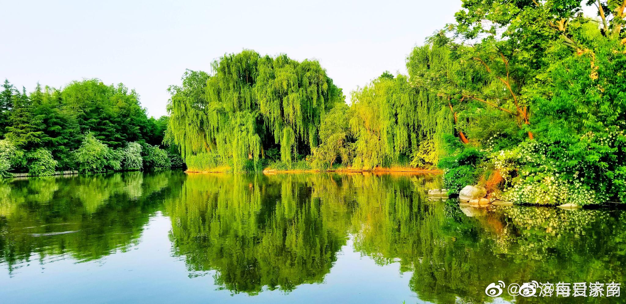 无情最是台城柳,依旧烟笼十里堤。济南的初夏