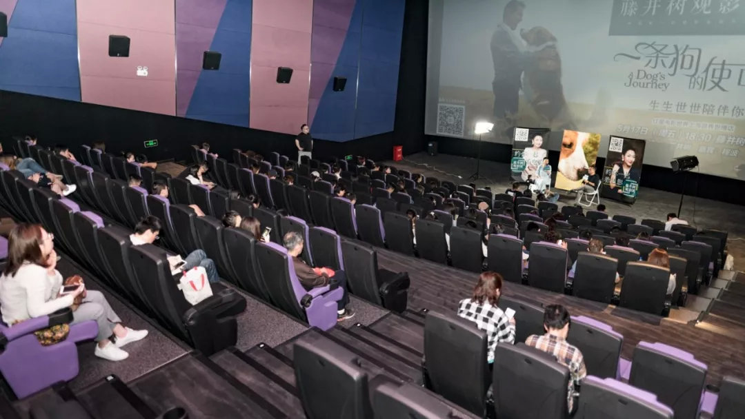 明明一直在笑,却又泪点无数。《一条狗的使命2》【观影报告】 明明一直在笑,却又泪点无数。《一条狗的使命2》【观影报告】